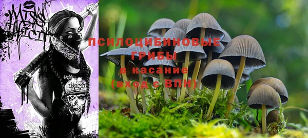 а пвп мука Балабаново